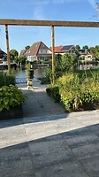 2025-06-21 1857 Thuis de tuin