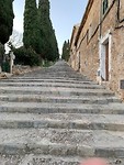 IMG_0954