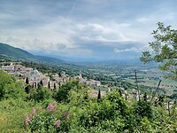 Assisi