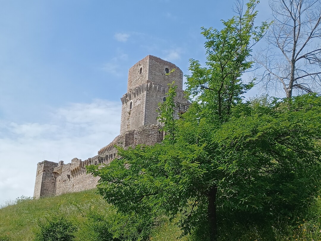 Assisi