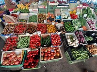 Tomaten in alle soorten en maten