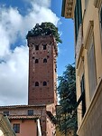 Begroeide toren