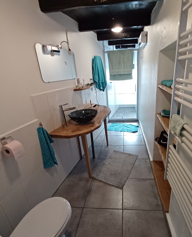 De badkamer
