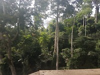 Kakum National Park