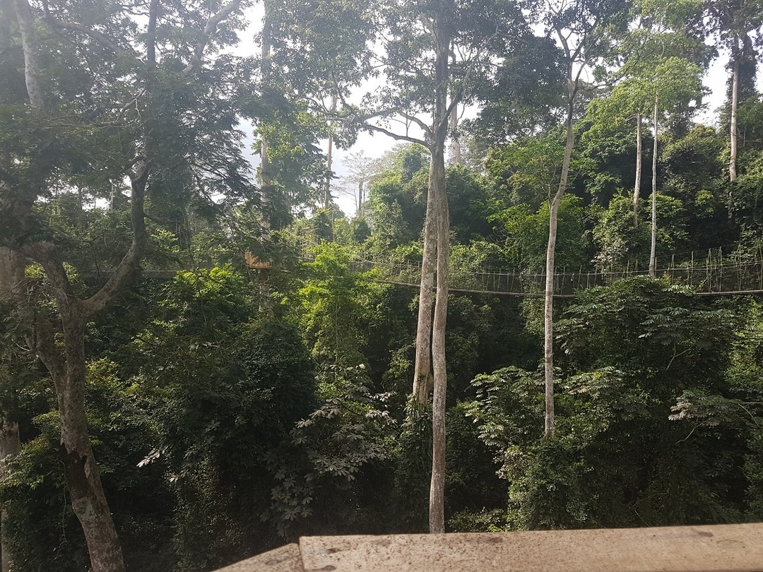 Kakum National Park