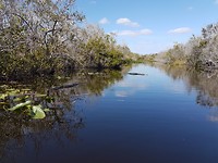 Everglades Safari park