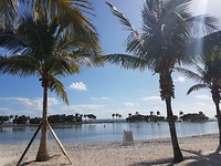 Nice beach in Miami
