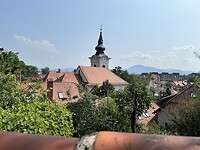 De daken van Ljubljana