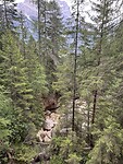 River wild door de bossen