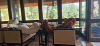 Dag 9 lobby hotel grappige beren