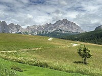 IMG_1798