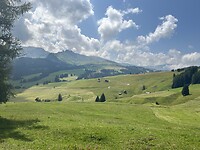 IMG_2030