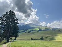 IMG_2028