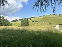 Dag 13 Pauze onder de boom 2