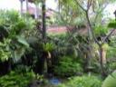 de tuin van ons hostel