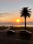 IMG_0501