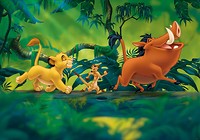 disney-lion-king-pumba-simba-i37143