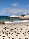 IMG_0739