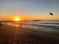 IMG_1241