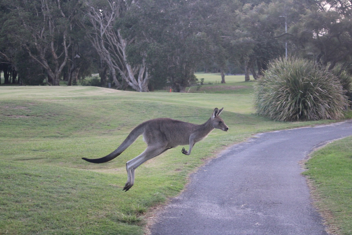 F011245A-345B-470B-BB55-3660F1EFCBED