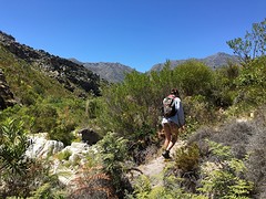 Wandelen door de bossies