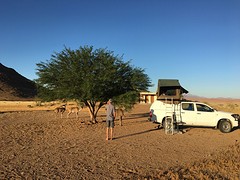 De Hilux met Kudu's