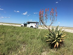 thumb_IMG_4841_1024