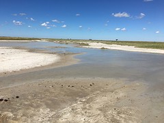 thumb_IMG_4846_1024