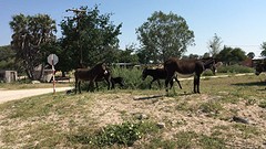 thumb_IMG_4914_1024