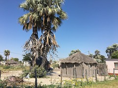 thumb_IMG_4917_1024