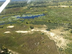 thumb_IMG_4990_1024
