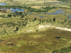 thumb_IMG_5013_1024