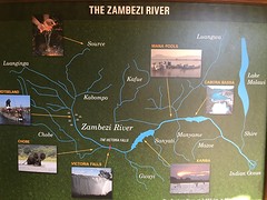 Zambezi