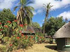 thumb_IMG_6673_1024