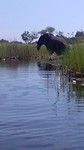 IMG_20180417_113019
