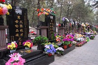 Tomb-sweeping-day-588x393