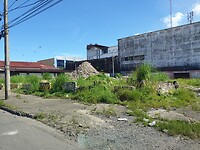 Colon