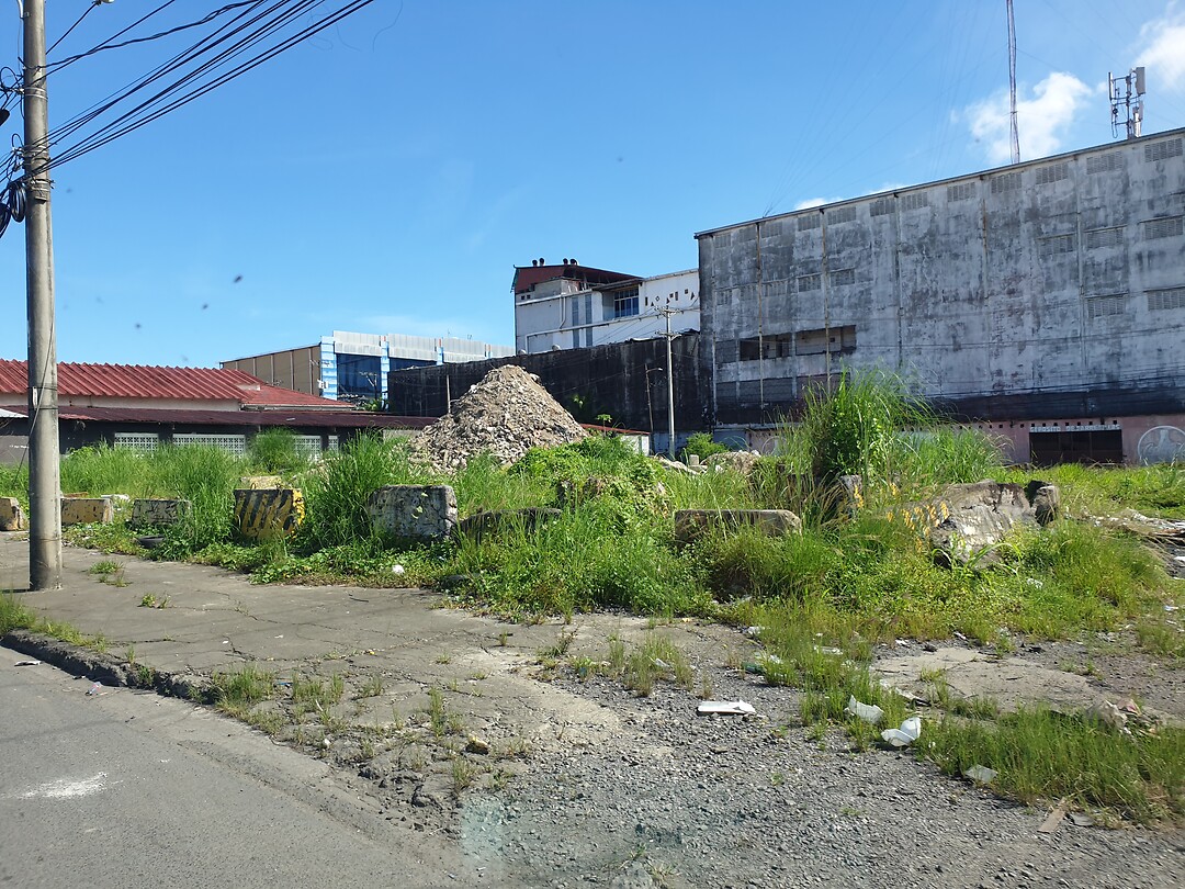Colon