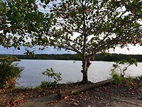 Natuur