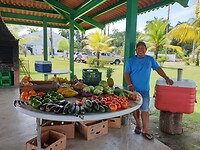 Fruit verkoop