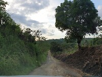 De jungle road