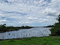 Waterpijl in gatunlake
