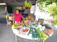 De fruitstand Amalia