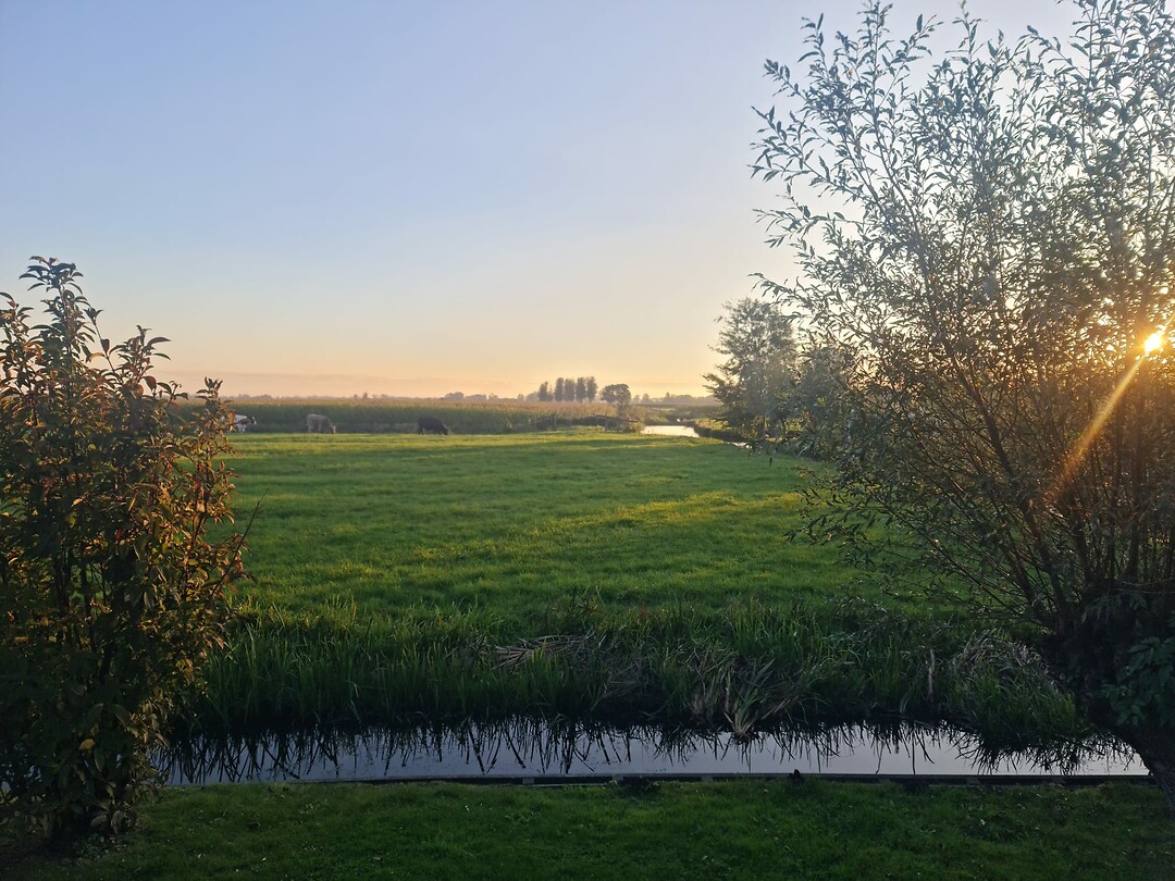 Mooi uitkijkje
