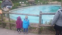 20190502_113722