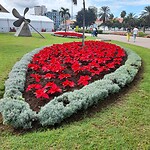 Kerst Las Palmas