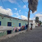 Palmeira