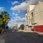 Palmeira