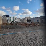 Palmeira
