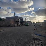Palmeira